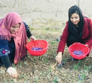 Why is Red Gold a Social Enterprise? - Red Gold of Afghanistan - Premium Afghan Saffron